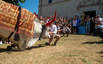 Chi vuol esser lieto. La preghiera del toro: Guida TV  - TV Sorrisi e Canzoni