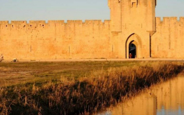 Camargue, la terra dai mille contrasti: Guida TV  - TV Sorrisi e Canzoni