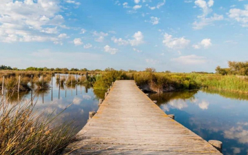 Camargue. Il regno d'acqua dolce: Guida TV  - TV Sorrisi e Canzoni