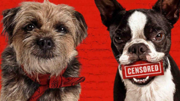 Doggy Style: Guida TV  - TV Sorrisi e Canzoni