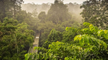 Eden Pianeta Selvaggio: Guida TV  - TV Sorrisi e Canzoni
