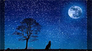 Clair De Lune: Guida TV  - TV Sorrisi e Canzoni