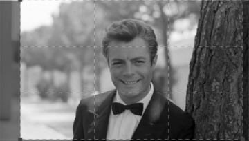 Ciao, Marcello Mastroianni l'antidivo: Guida TV  - TV Sorrisi e Canzoni