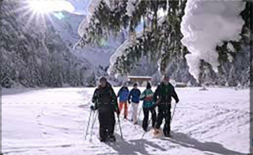 Diario Delle Vacanze #Inverno: Guida TV  - TV Sorrisi e Canzoni