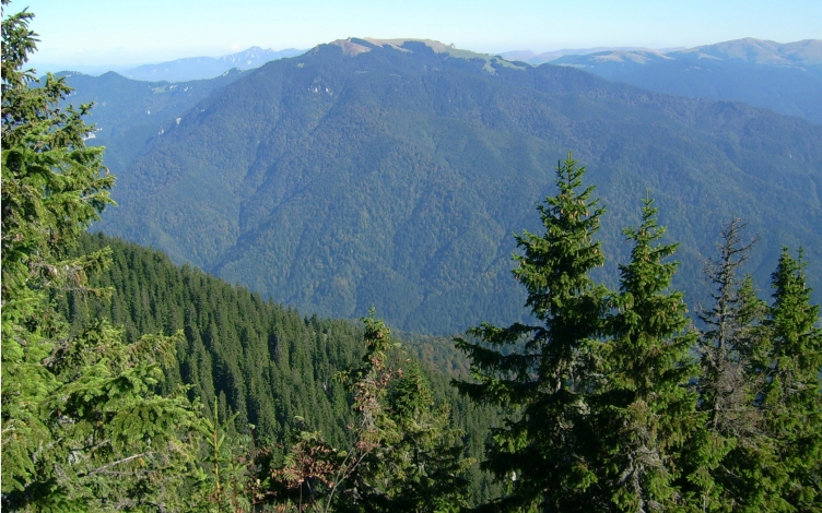 Montagne da lupi: Guida TV  - TV Sorrisi e Canzoni