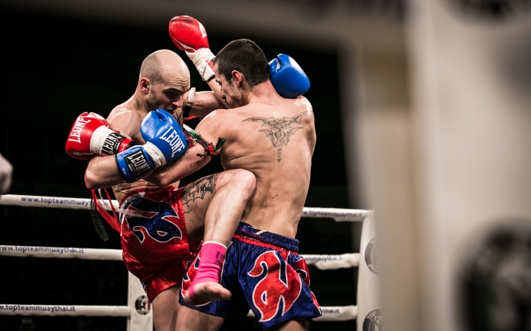 Ring War: Guida TV  - TV Sorrisi e Canzoni