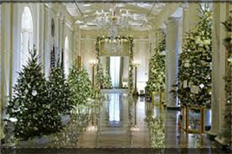 Natale alla Casa Bianca 2022: Guida TV  - TV Sorrisi e Canzoni