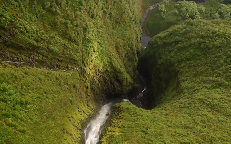Natura selvaggia: Hawaii: Guida TV  - TV Sorrisi e Canzoni