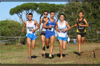 Campionati Europei di Cross Lagoa: Guida TV  - TV Sorrisi e Canzoni