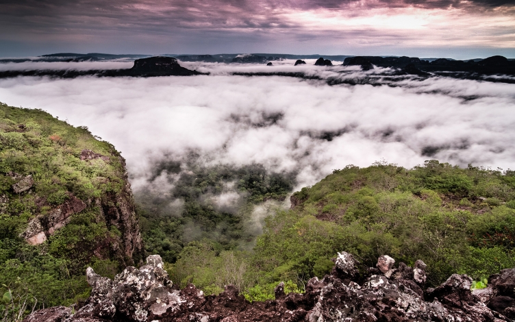 Madagascar, eden solitario: Guida TV  - TV Sorrisi e Canzoni