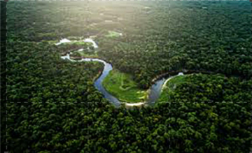 Focus Natura: Guida TV  - TV Sorrisi e Canzoni