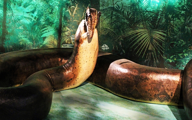 Titanoboa: Guida TV  - TV Sorrisi e Canzoni