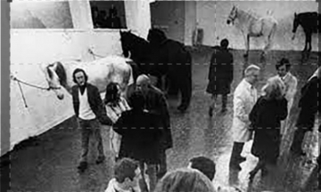 Arte Povera - Appunti per la storia: Guida TV  - TV Sorrisi e Canzoni
