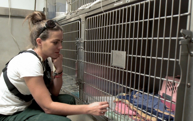 Animal Storm Squad: Guida TV  - TV Sorrisi e Canzoni