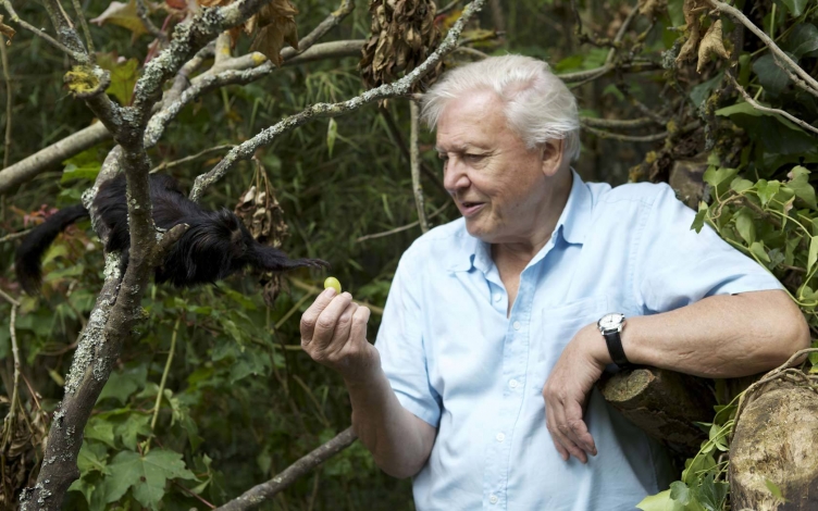 Attenborough, una vita per la natura: Guida TV  - TV Sorrisi e Canzoni