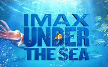 Under The Sea: Guida TV  - TV Sorrisi e Canzoni