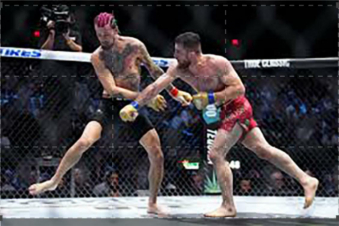 UFC 320: Guida TV  - TV Sorrisi e Canzoni