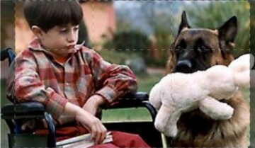 Il Destino ha 4 zampe: Guida TV  - TV Sorrisi e Canzoni