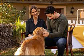 L'amore secondo Valentine: Guida TV  - TV Sorrisi e Canzoni