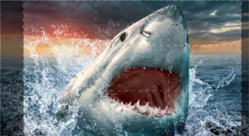 Nelle fauci dello squalo bianco: Guida TV  - TV Sorrisi e Canzoni