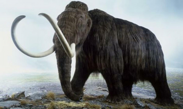 Le creature più grandi del mondo: Guida TV  - TV Sorrisi e Canzoni