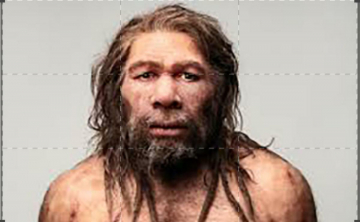 Utime notizie sui Neanderthal: Guida TV  - TV Sorrisi e Canzoni