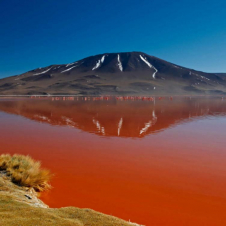 La vita segreta dei laghi: Guida TV  - TV Sorrisi e Canzoni