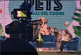 Pets. Animali del cuore: Guida TV  - TV Sorrisi e Canzoni