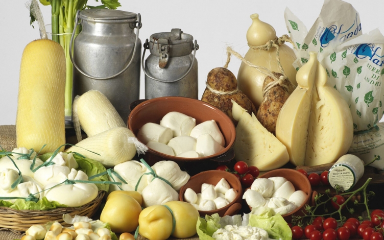 Cheese: Guida TV  - TV Sorrisi e Canzoni