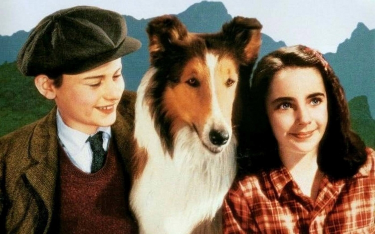 Il coraggio di Lassie: Guida TV  - TV Sorrisi e Canzoni