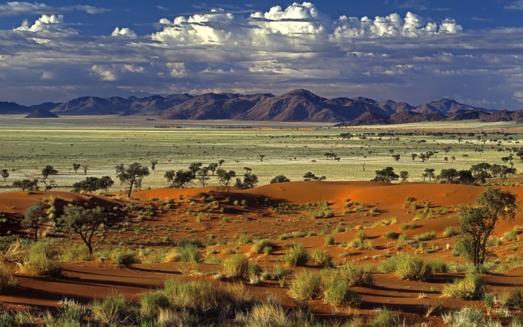 Wild Namibia: Guida TV  - TV Sorrisi e Canzoni