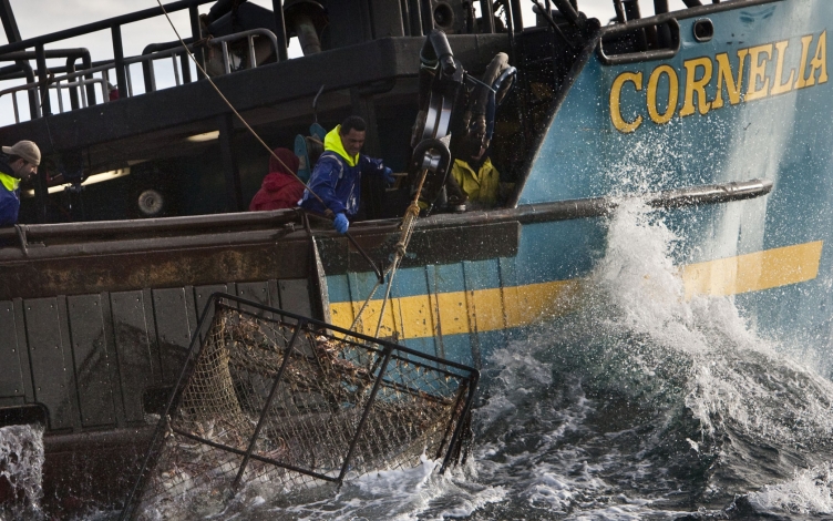 Deadliest Catch: la leggenda della Cornelia Marie: Guida TV  - TV Sorrisi e Canzoni