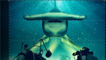 Il mistero dello squalo martello gigante: Guida TV  - TV Sorrisi e Canzoni