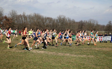 Cross Parco La mandria: Guida TV  - TV Sorrisi e Canzoni
