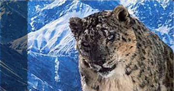I Diari Di Planet Earth: Guida TV  - TV Sorrisi e Canzoni
