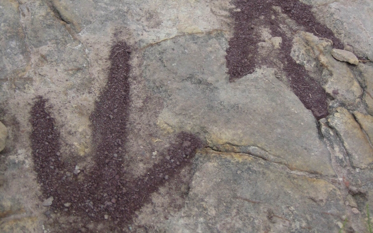 Il cimitero dei dinosauri: Guida TV  - TV Sorrisi e Canzoni