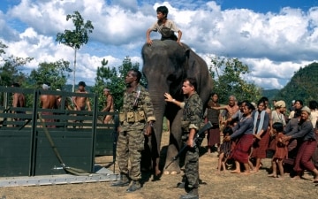 Quando gli elefanti volavano: Guida TV  - TV Sorrisi e Canzoni