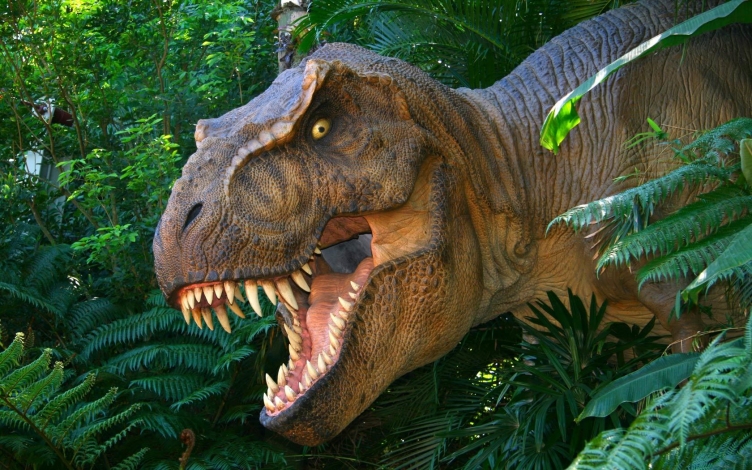 Jurassic C.S.I.: Guida TV  - TV Sorrisi e Canzoni