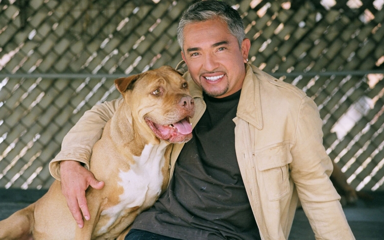 Cesar Millan: Il capobranco sei tu: Guida TV  - TV Sorrisi e Canzoni