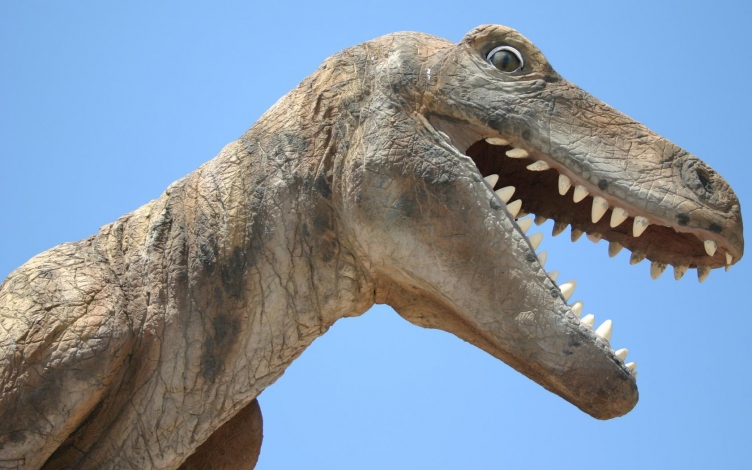 La terra dopo i dinosauri: Guida TV  - TV Sorrisi e Canzoni