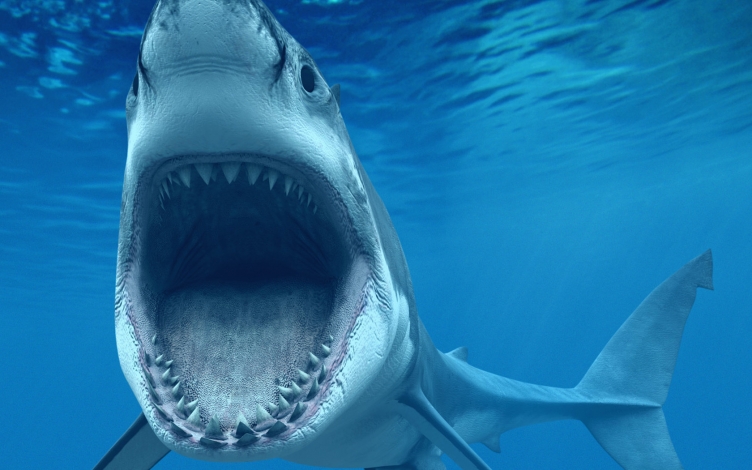 L'imperatrice degli oceani: Guida TV  - TV Sorrisi e Canzoni
