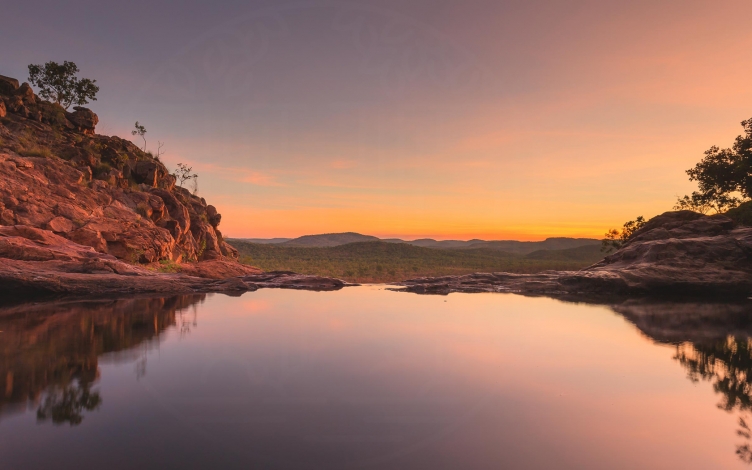 Wild Australia: Guida TV  - TV Sorrisi e Canzoni