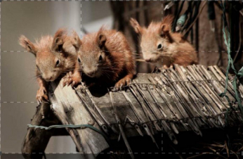 Immersi nella natura: Guida TV  - TV Sorrisi e Canzoni