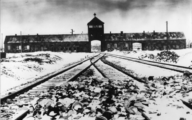 I nazisti della CIA: Guida TV  - TV Sorrisi e Canzoni