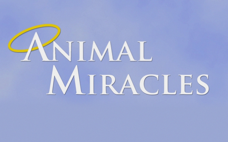 Miracoli degli animali: Guida TV  - TV Sorrisi e Canzoni
