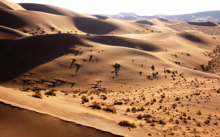 Namib: un deserto brutale: Guida TV  - TV Sorrisi e Canzoni