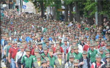 94ª Adunata Nazionale degli Alpini: Guida TV  - TV Sorrisi e Canzoni