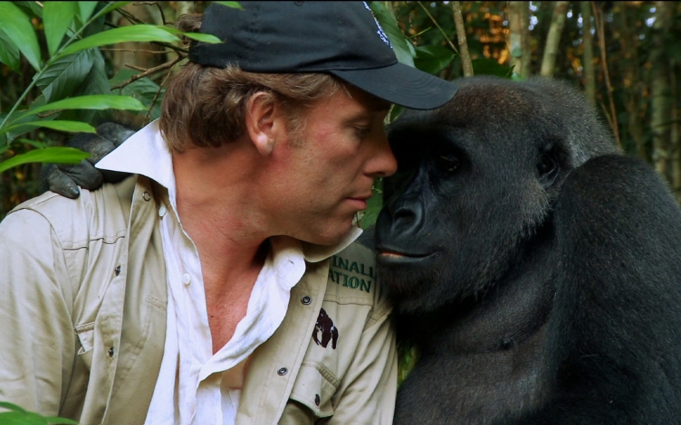 Cuccioli selvaggi - Wild Animal Reunion: Guida TV  - TV Sorrisi e Canzoni