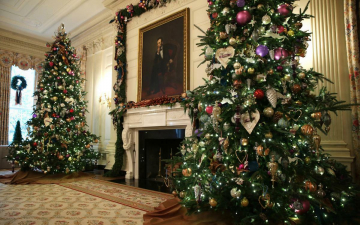 Natale alla Casa Bianca 2024: Guida TV  - TV Sorrisi e Canzoni