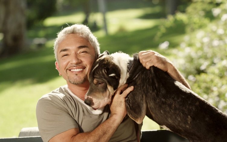 Cesar Millan: la storia di un successo: Guida TV  - TV Sorrisi e Canzoni